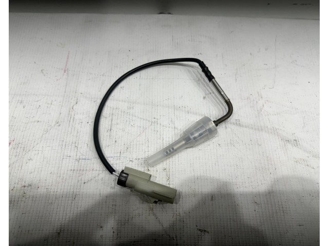 Exhaust Gas Temperature Sensor
